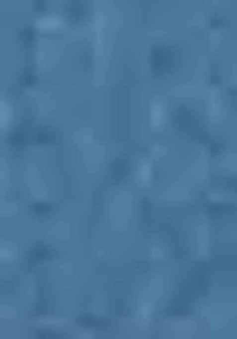 Blue Woven Banarasi Silk Saree Set