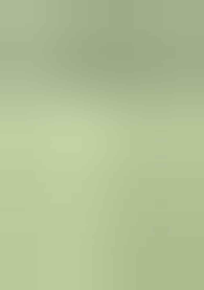 Light Green Woven Banarasi Silk Saree Set