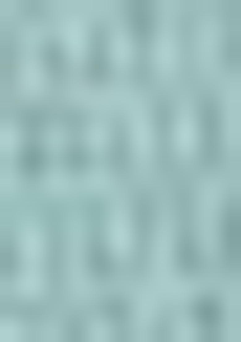 Sky Blue Woven Banarasi Silk Saree Set