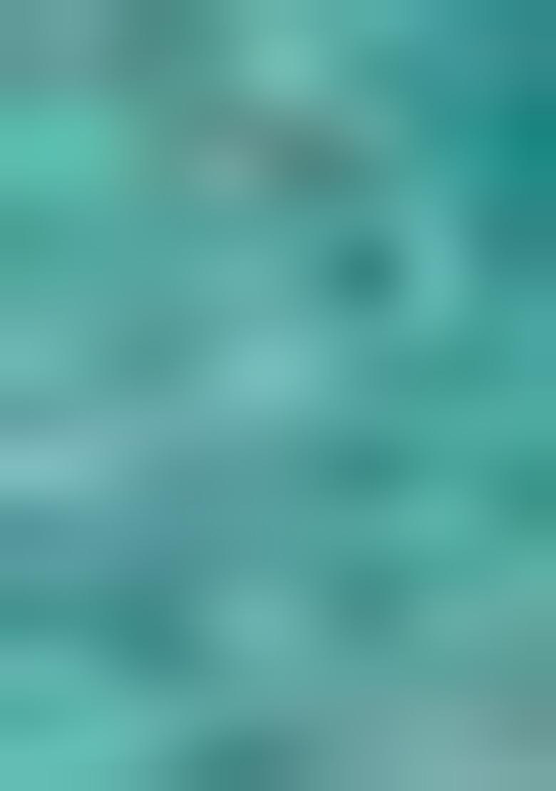 Turquoise Zari Woven Banarasi Handloom Silk Saree Set