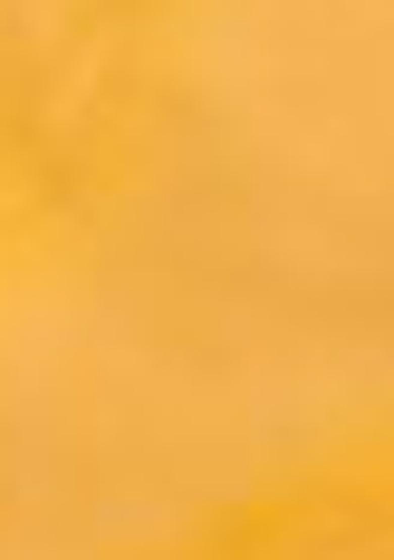 Yellow Zari Woven Banarasi Handloom Silk Saree Set