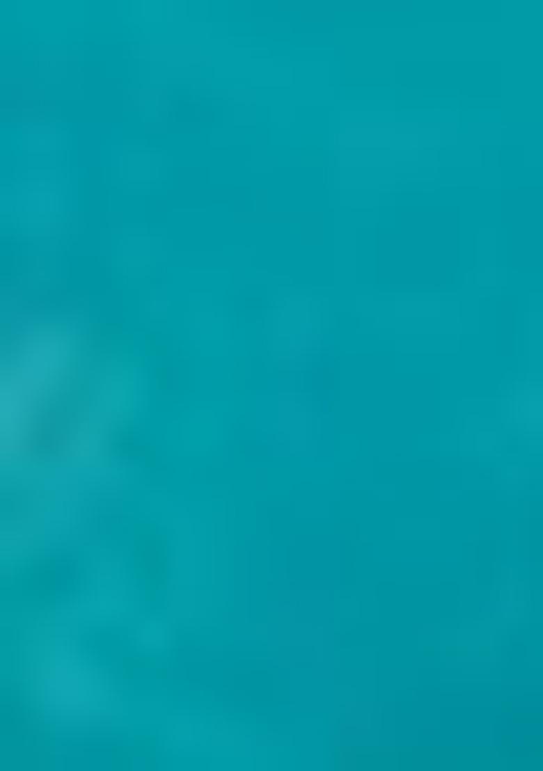 Turquoise Zari Woven Banarasi Handloom Silk Saree Set