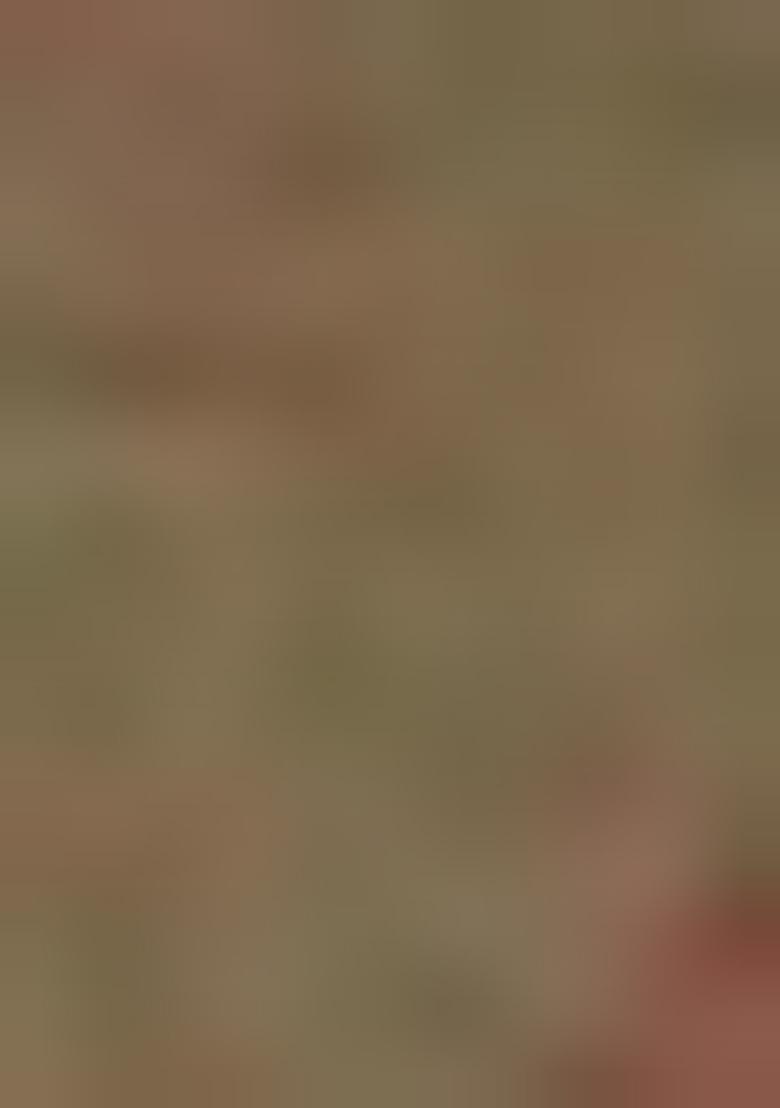 Olive Zari Woven Kanjivaram Silk Saree Set