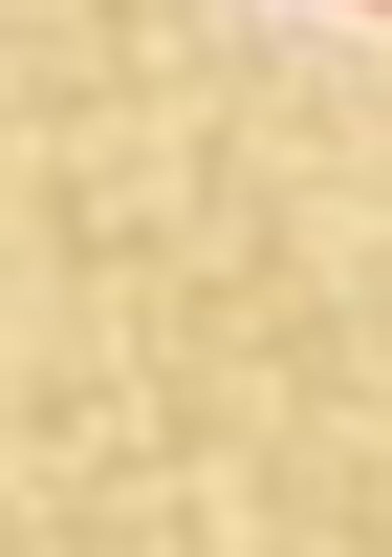 Beige Zari Woven Dharmavaram Silk Saree Set