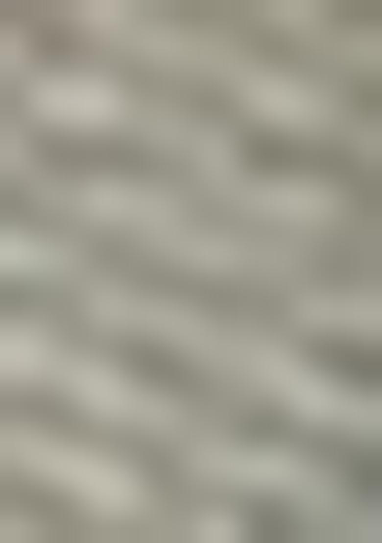 Grey Zari Woven Dharmavaram Silk Saree Set