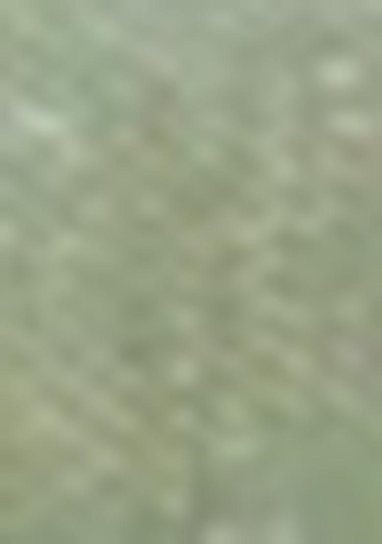 Pista Green Zari Woven Dharmavaram Silk Saree Set