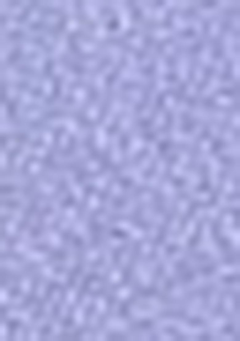 Light Purple Zari Woven Dharmavaram Silk Saree Set