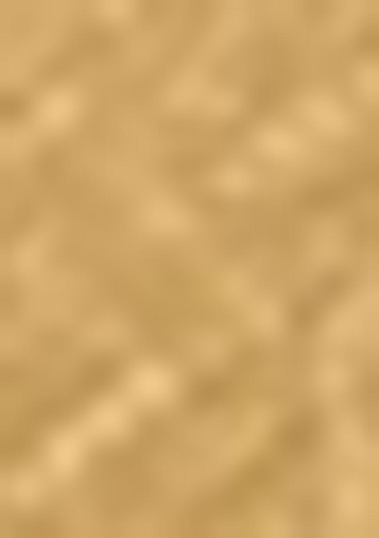 Yellow Zari Woven Banarasi Handloom Silk Saree Set