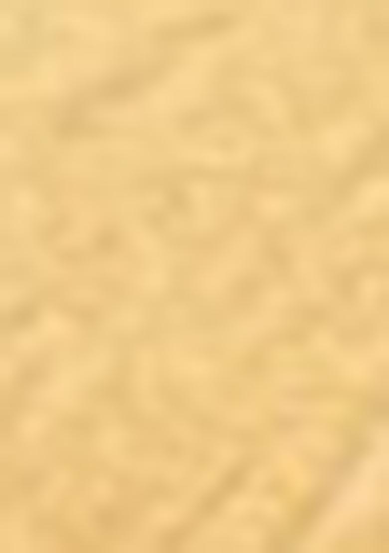 Orange Zari Woven Banarasi Handloom Silk Saree Set