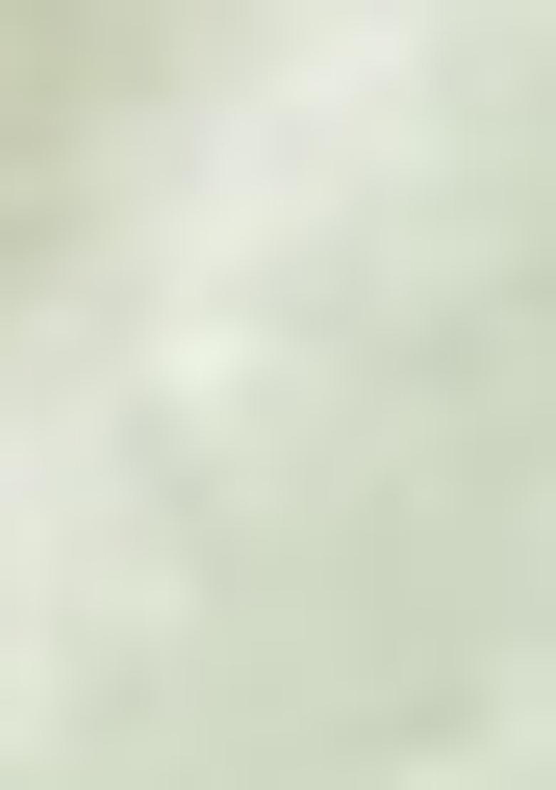 Pista Green Zari Woven Dharmavaram Silk Saree Set