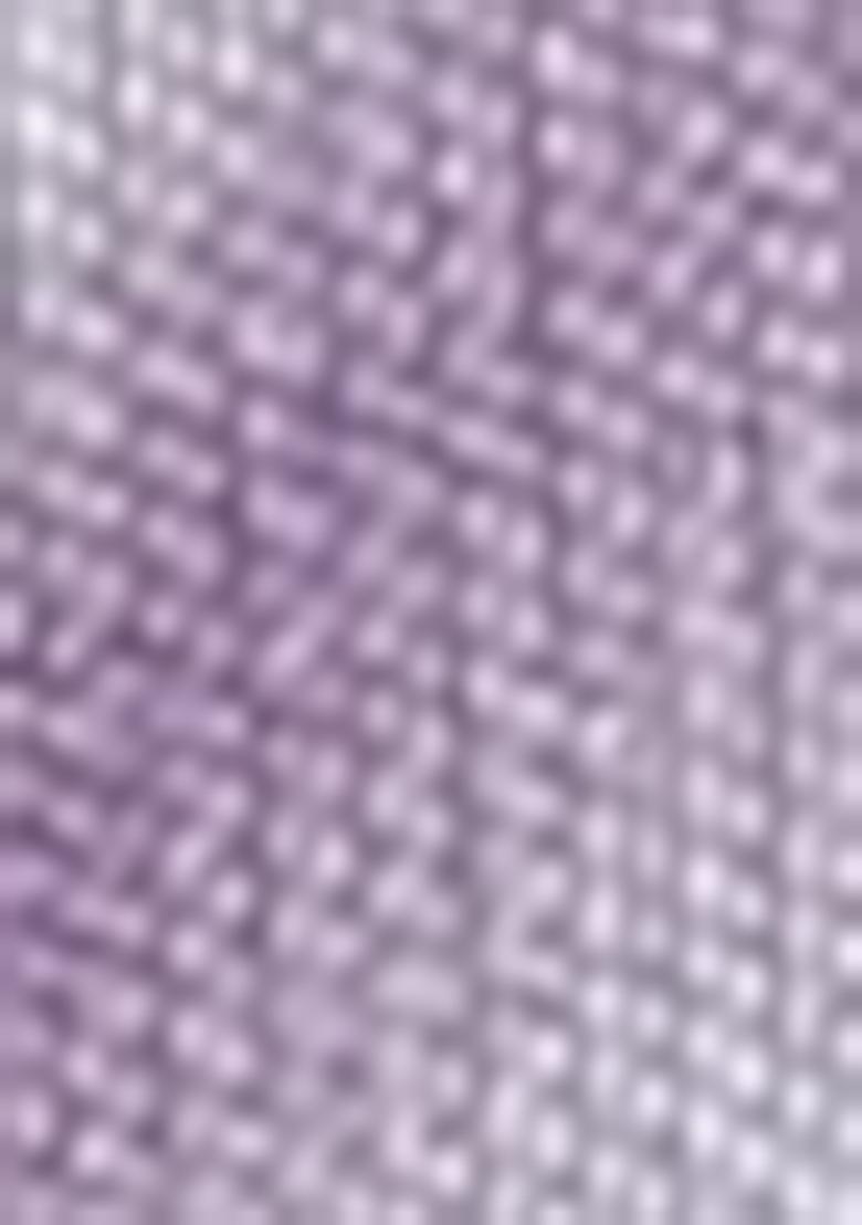 Light Purple Zari Woven Dharmavaram Silk Saree Set