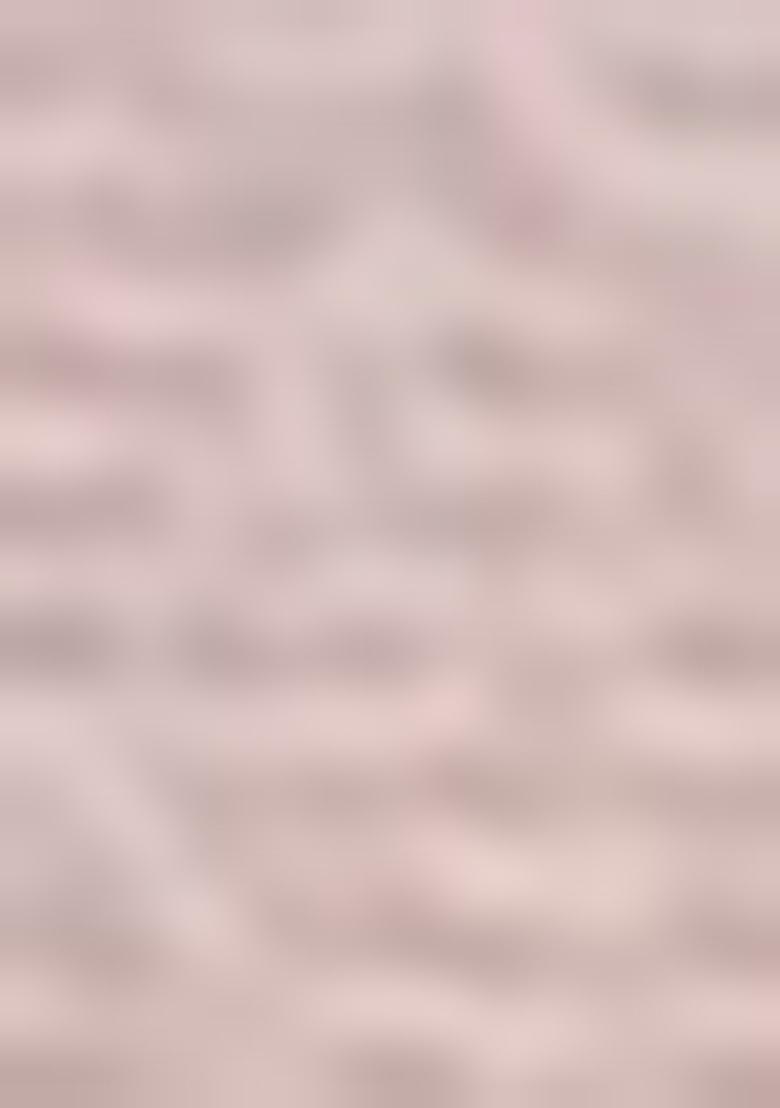 Beige Zari Woven Kanjivaram Silk Saree Set