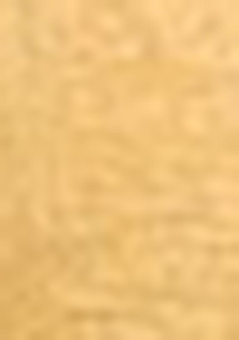 Yellow Zari Woven Kanjivaram Silk Saree Set