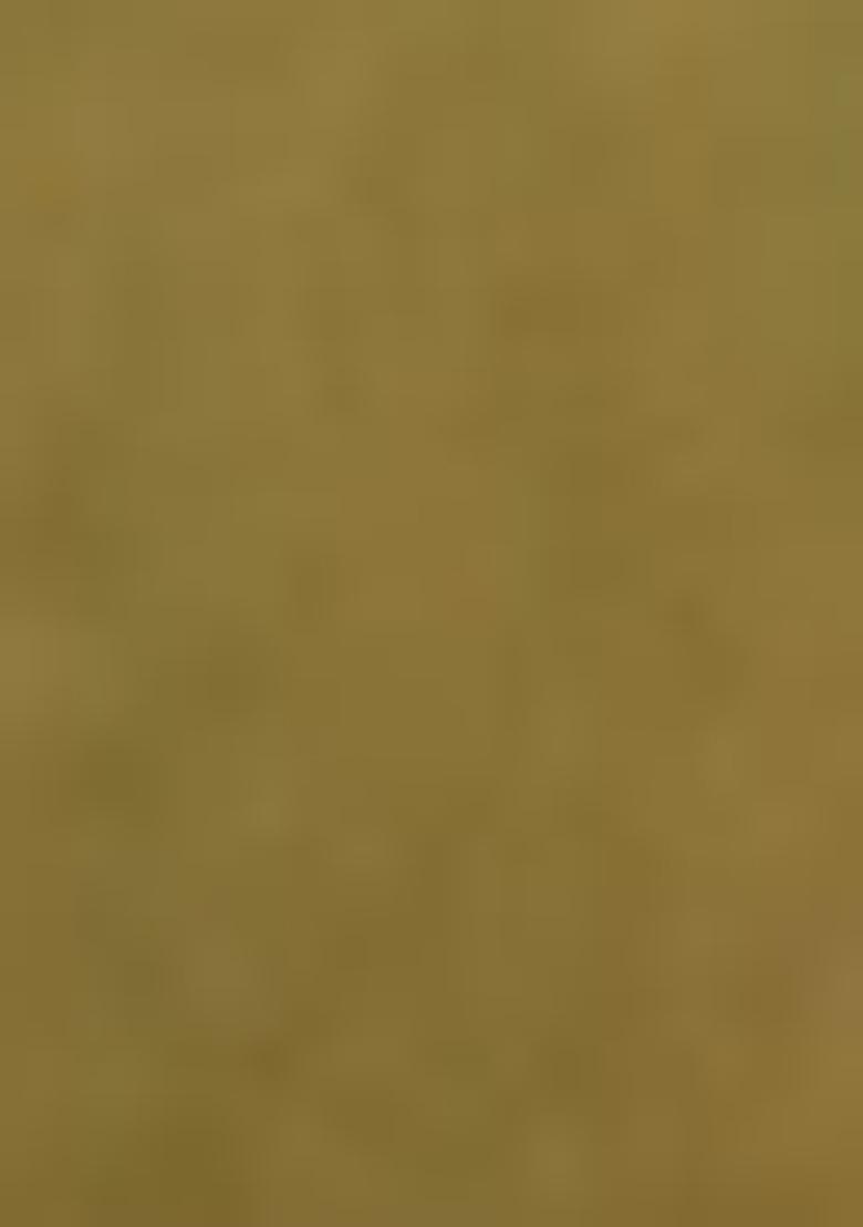 Green Zari Woven Kanjivaram Silk Saree Set