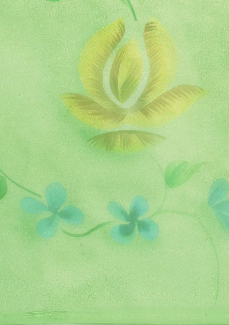 Green Printed Organza Saree Set