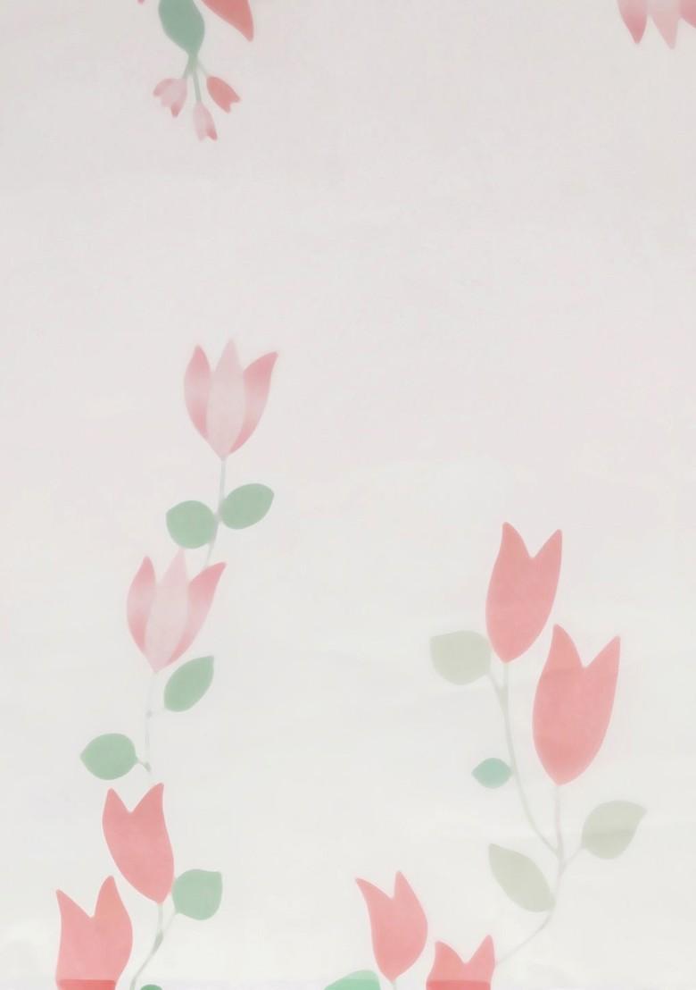 White Printed Organza Saree Set