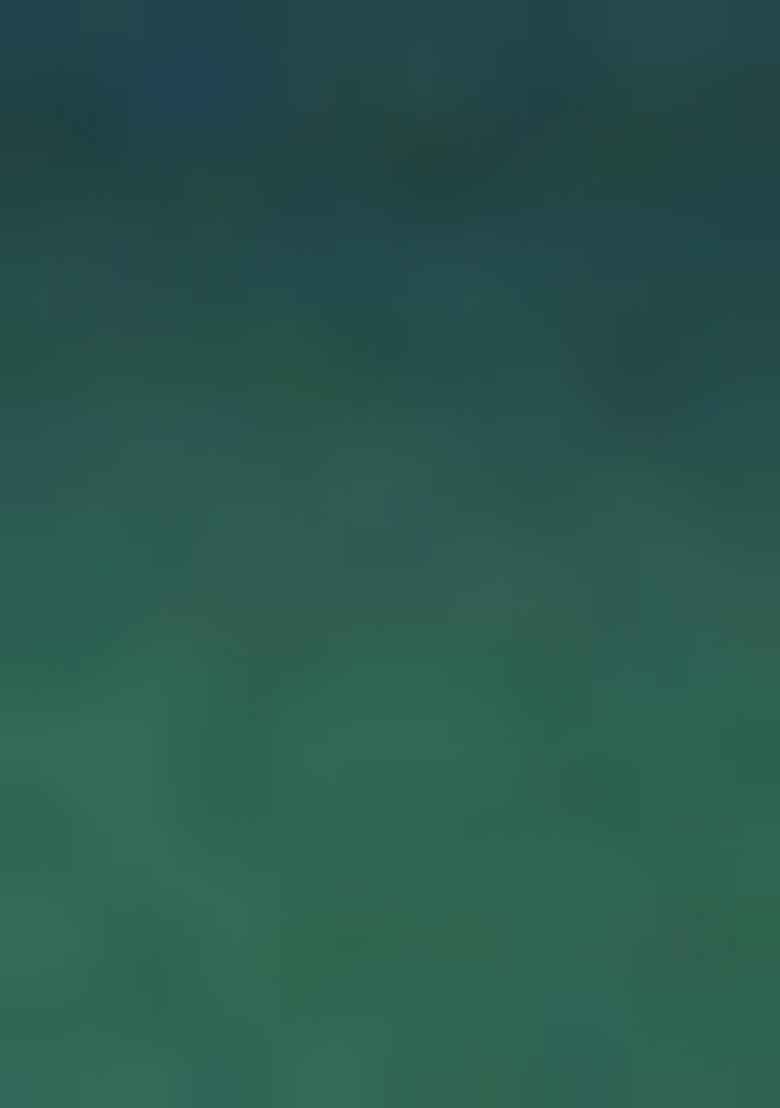 Green Weaving Silk Saree Set