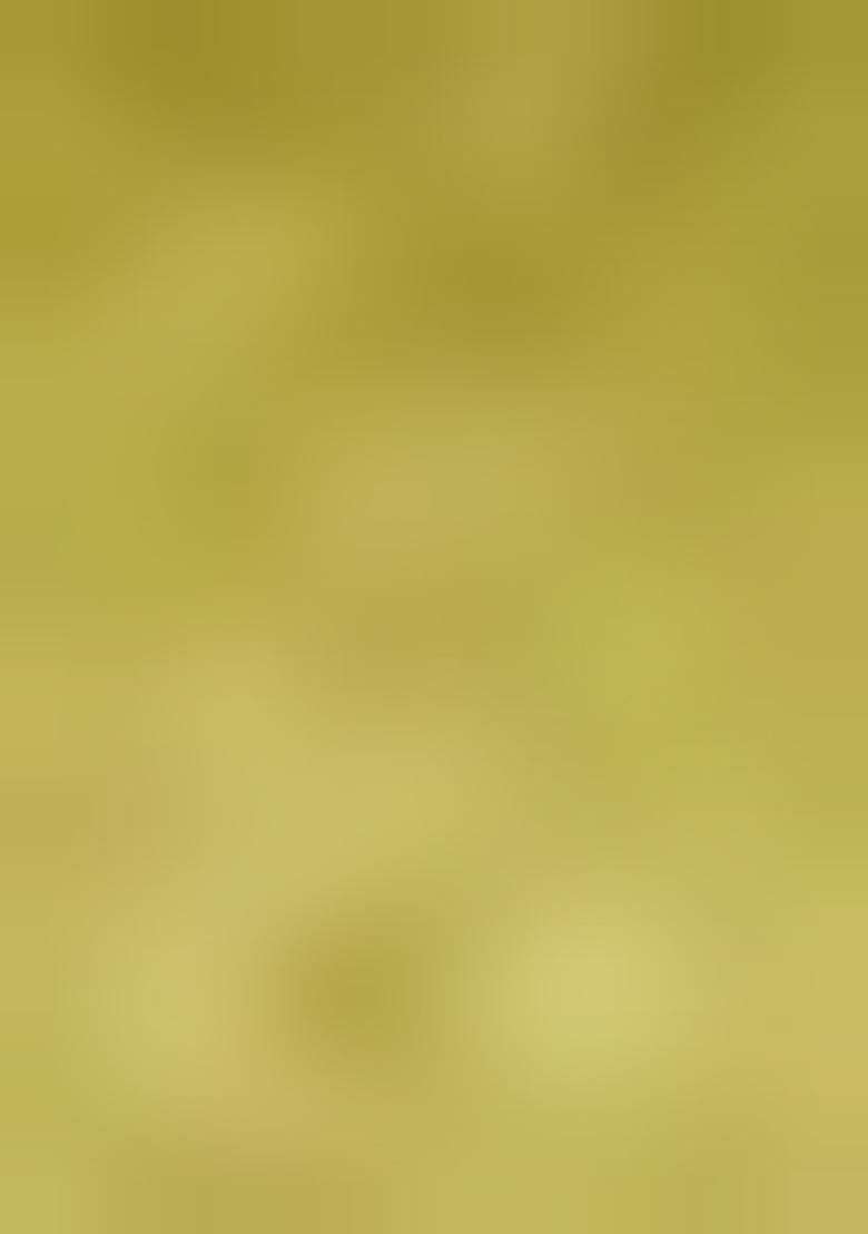 Green Weaving Tissue Silk Saree Set