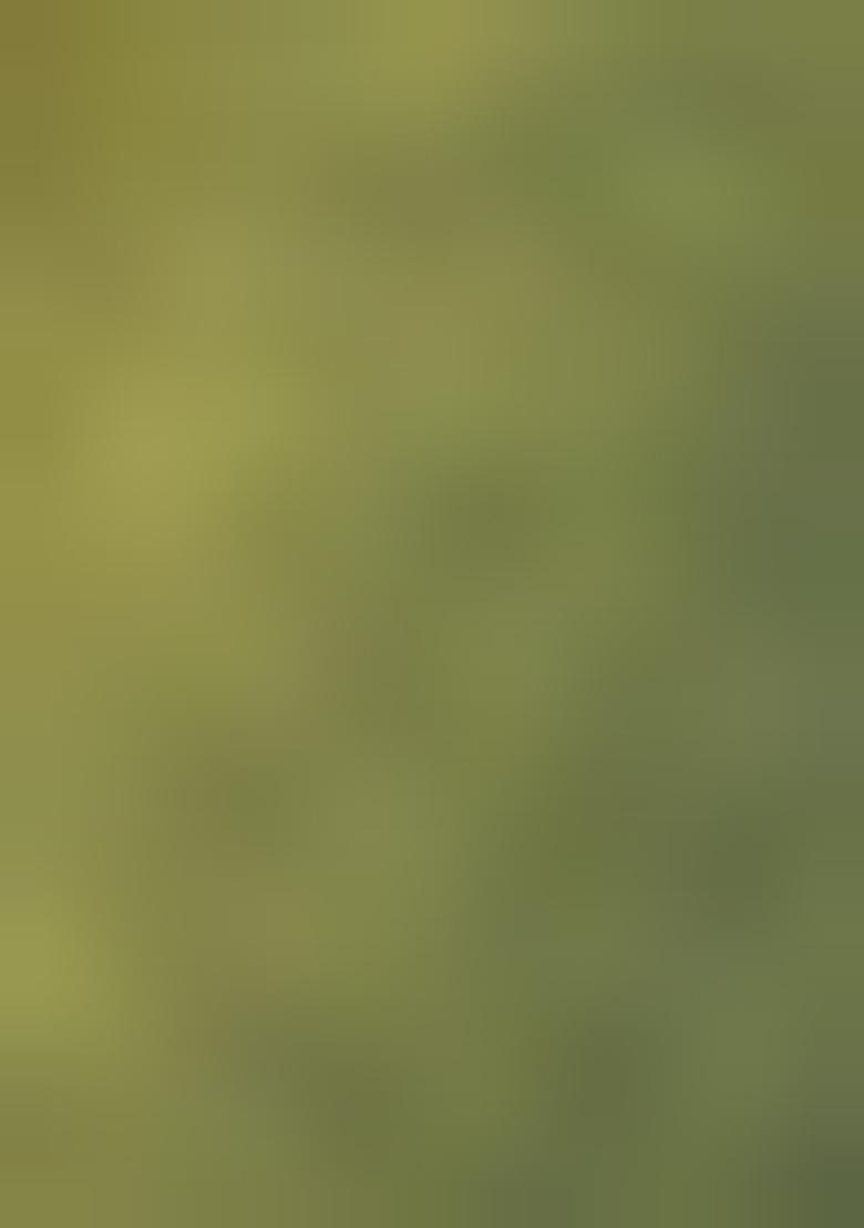 Dark Green Weaving Tissue Silk Saree Set