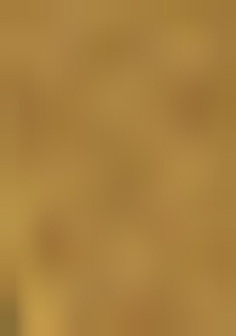 Beige Weaving Tissue Silk Saree Set