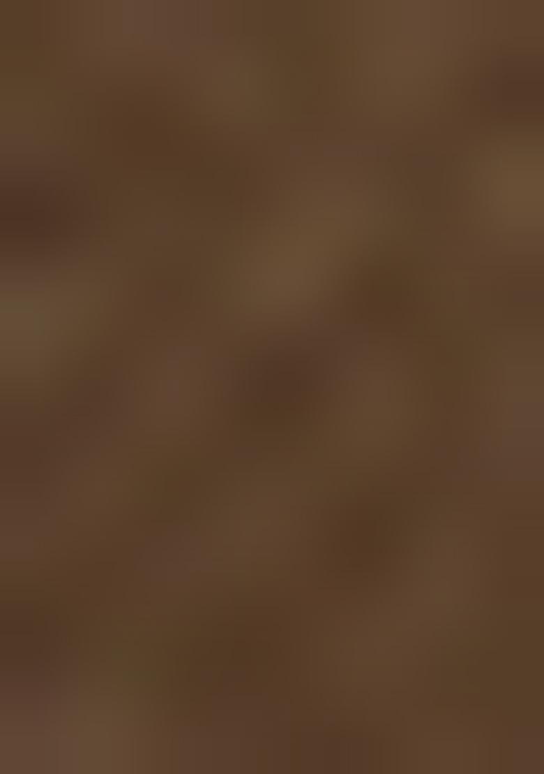 Brown Weaving Tissue Silk Saree Set