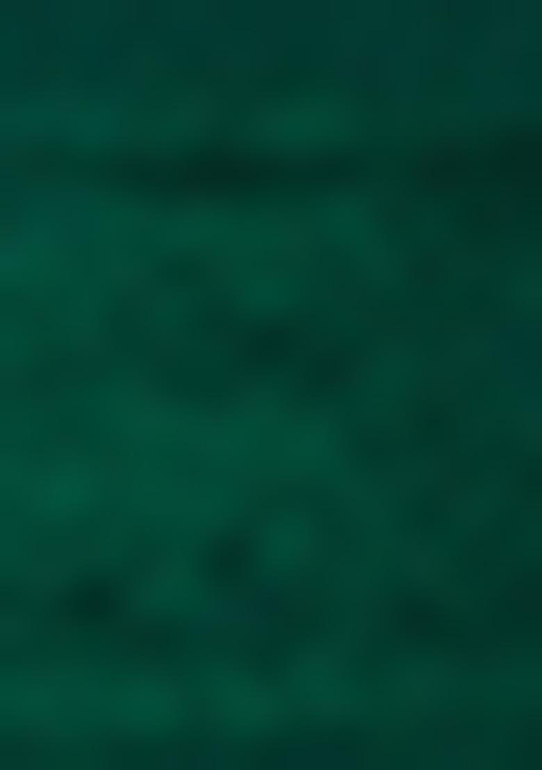 Teal Green Embroidered Tissue Silk Saree Set