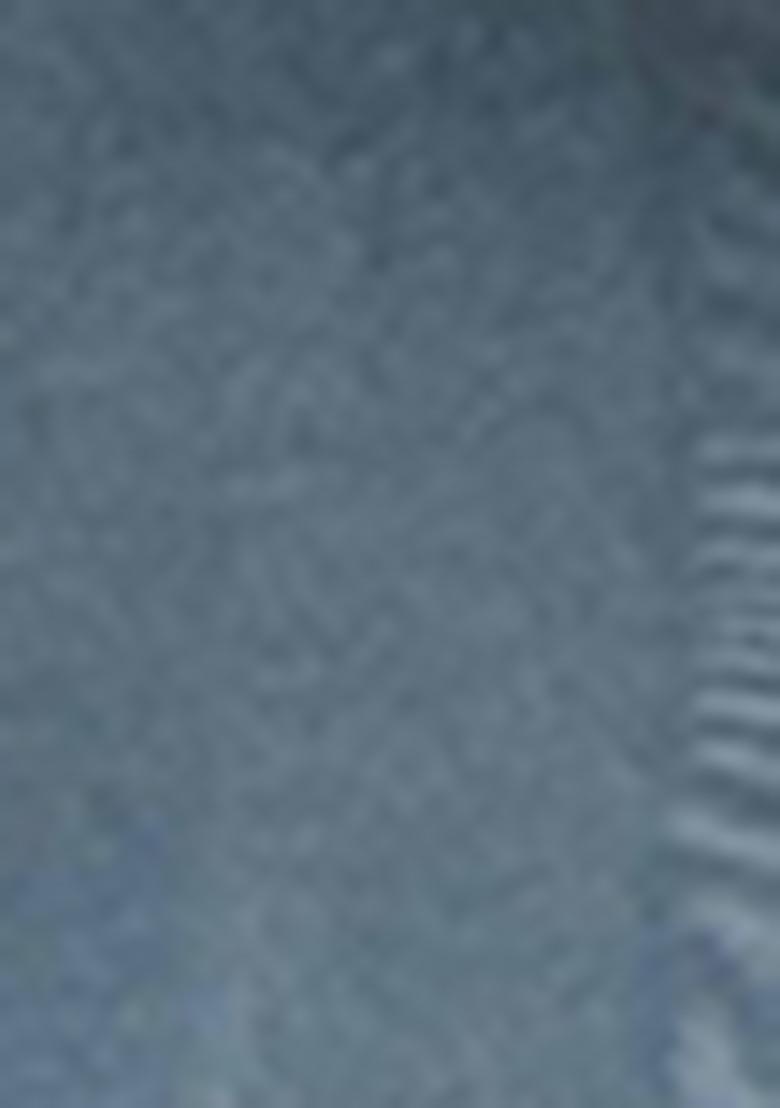 Blue And Grey Embroidered viscose Saree Set