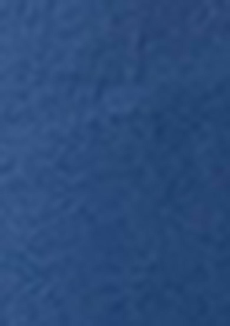 Navy Blue Embroidered viscose Saree Set