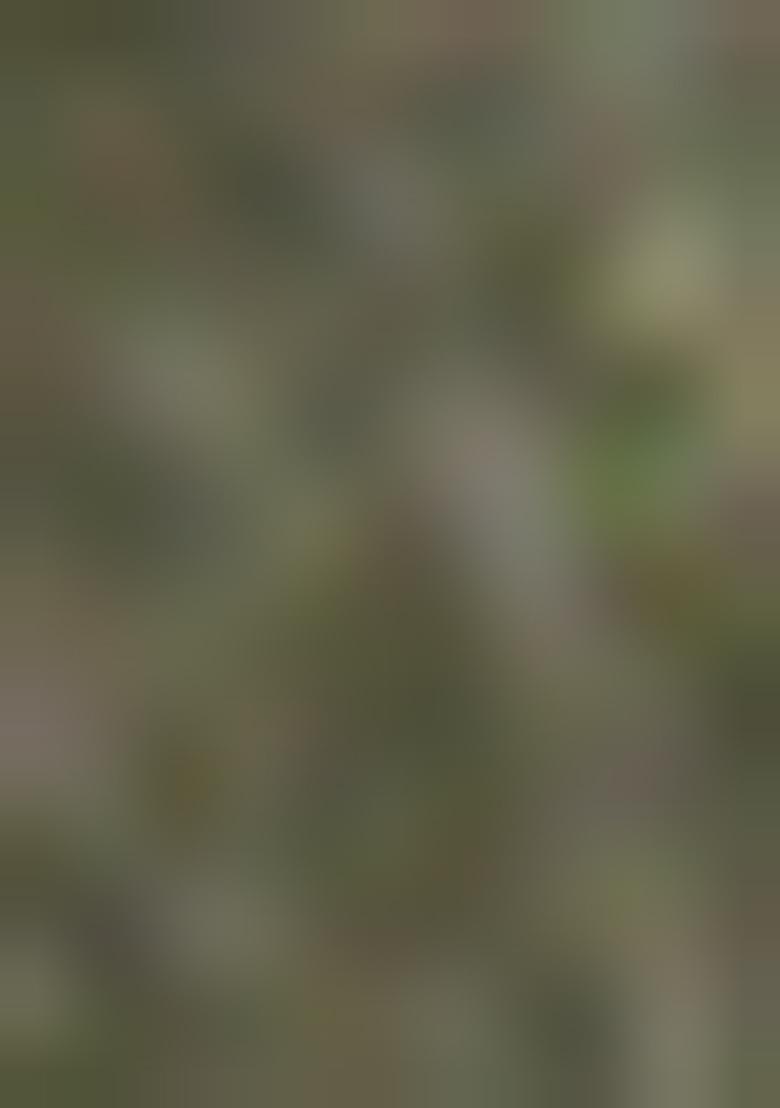 Dark Green Weaving Tissue Silk Saree Set