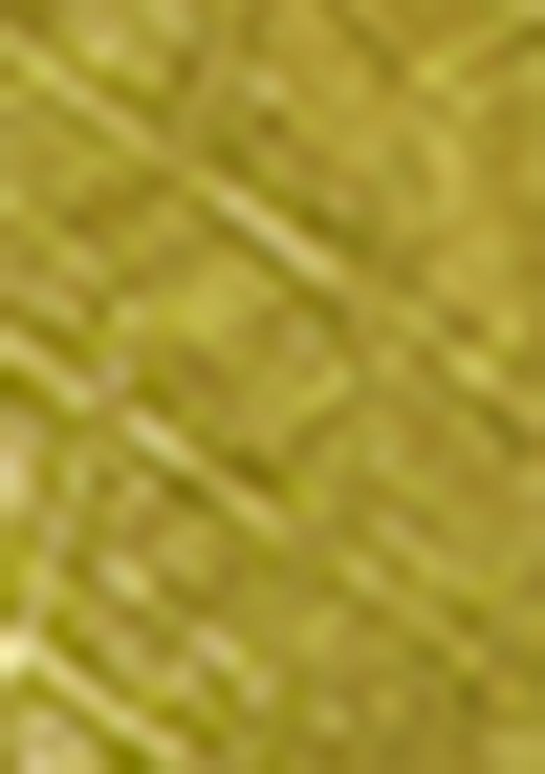 Light Green Embroidered Silk Saree Set