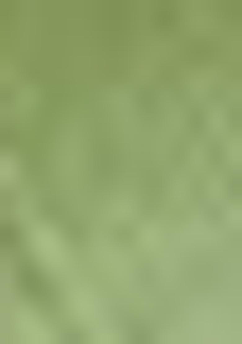 Pista Green Weaving Silk Saree Set