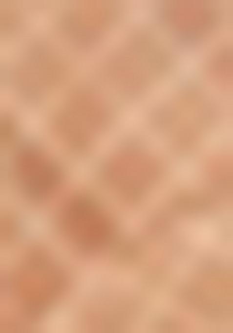 Yellow Woven Silk Saree Set