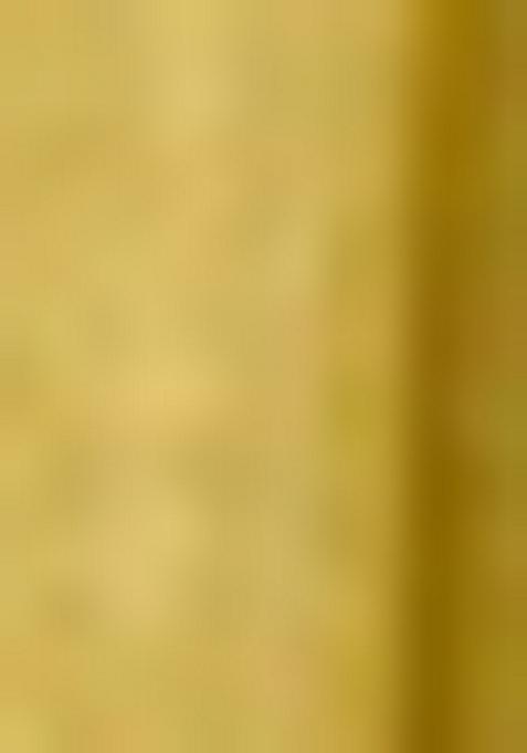 Green Printed Net Saree Set