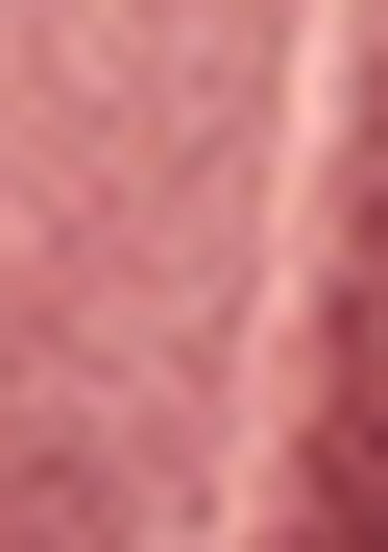 Mauve Printed Net Saree Set