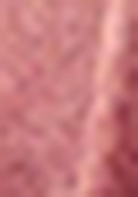 Mauve Printed Net Saree Set