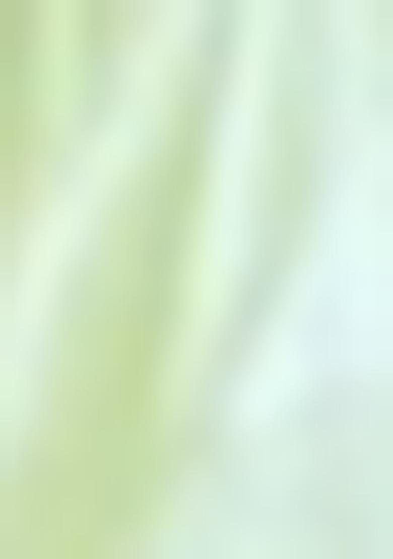 Green Embroidered Silk Saree Set