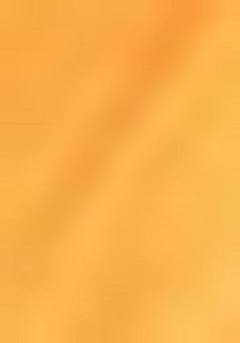 Mustard Yellow Embroidered Silk Saree Set