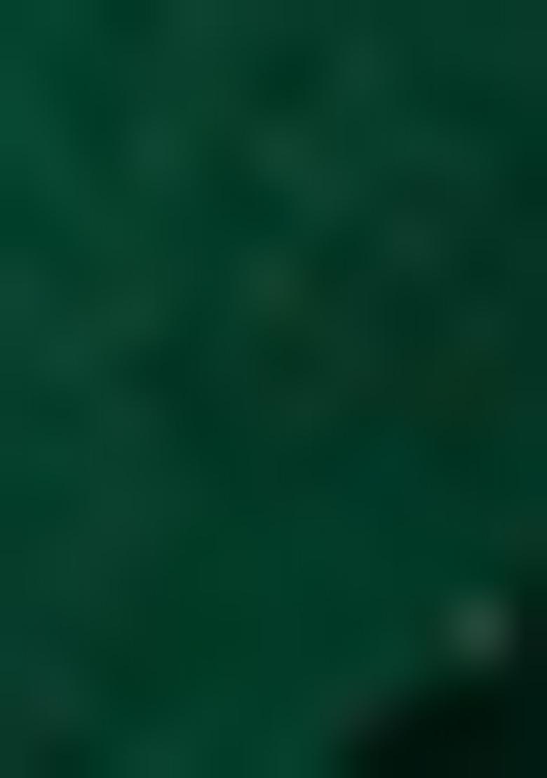 Green Embroidered Net Saree Set