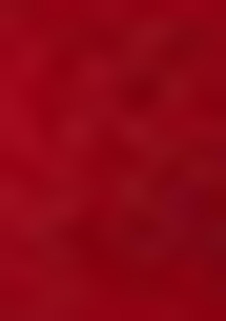 Red Embroidered Net Saree Set