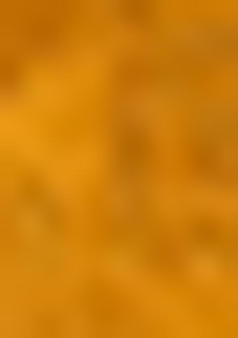 Yellow Embroidered Net Saree Set