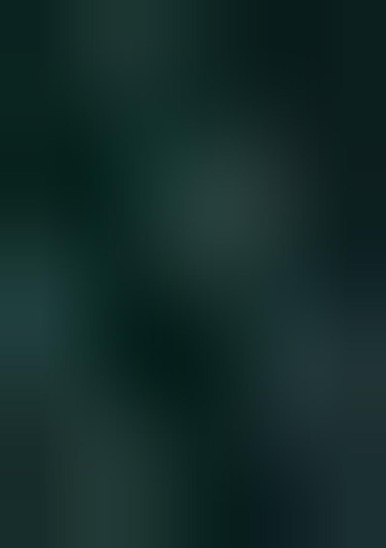 Green Embroidered Georgette Saree Set