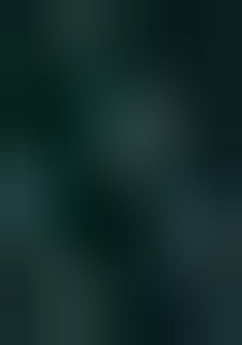 Green Embroidered Georgette Saree Set