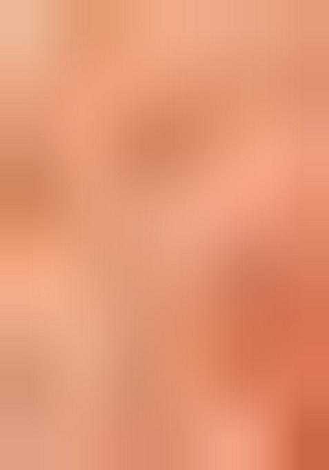 Multicolor Embroidered Chiffon Saree Set