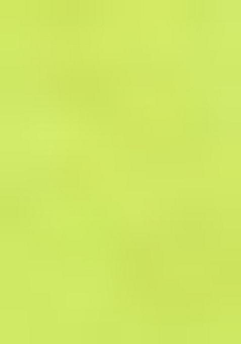 Lemon Woven Jacquard Saree Set