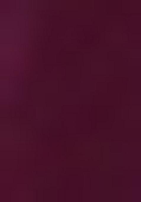 Wine Embroidered Georgette Saree Set