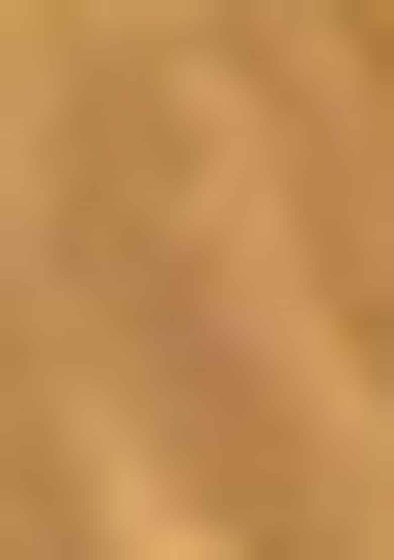 Mustard Yellow Woven Silk Saree Set