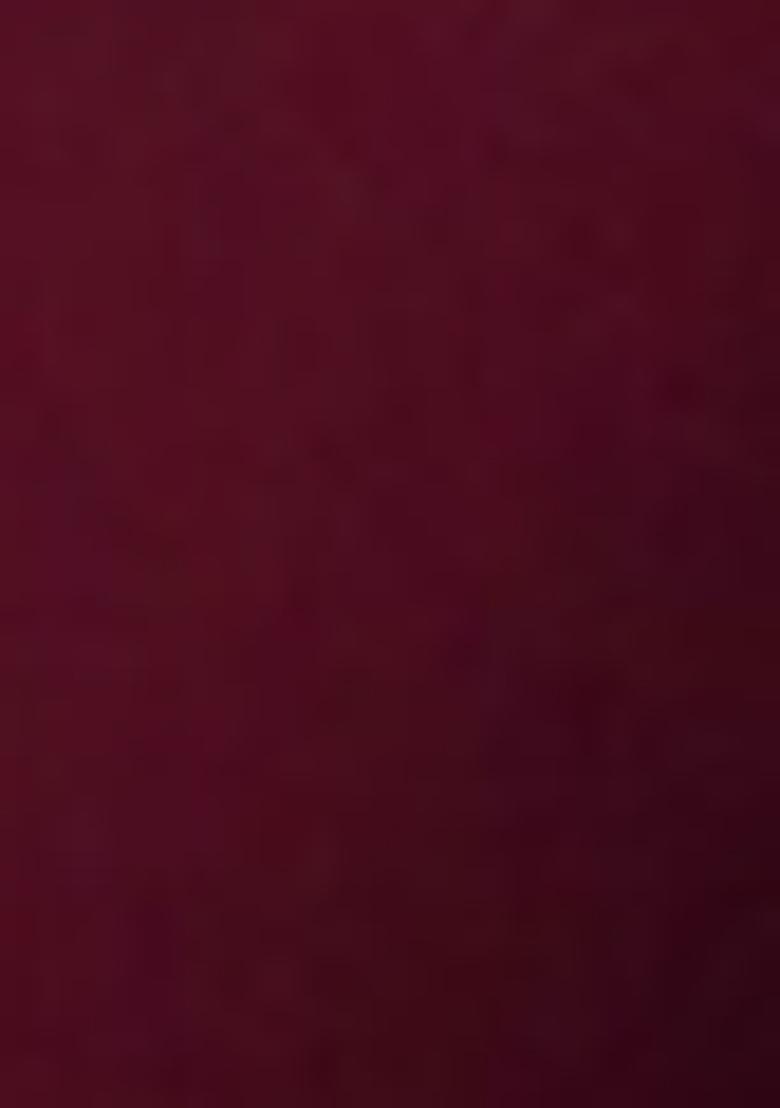 Maroon Embroidered Georgette Saree Set - Indya