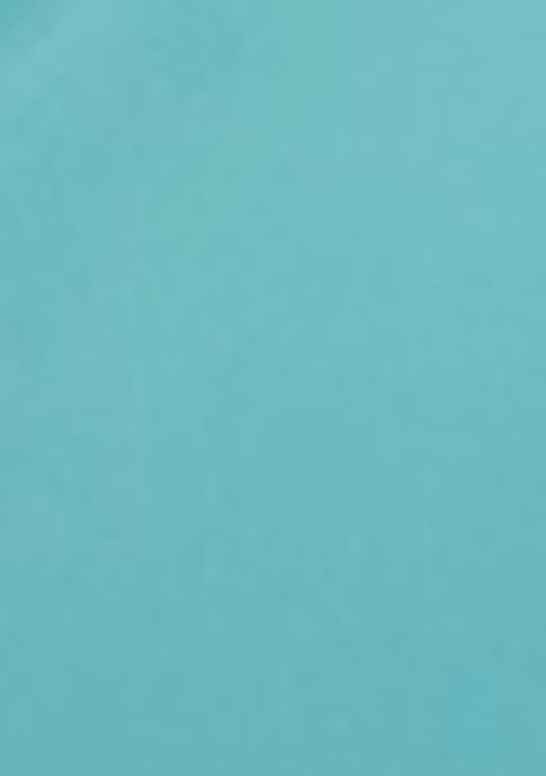 Sky Blue Embroidered Georgette Saree Set