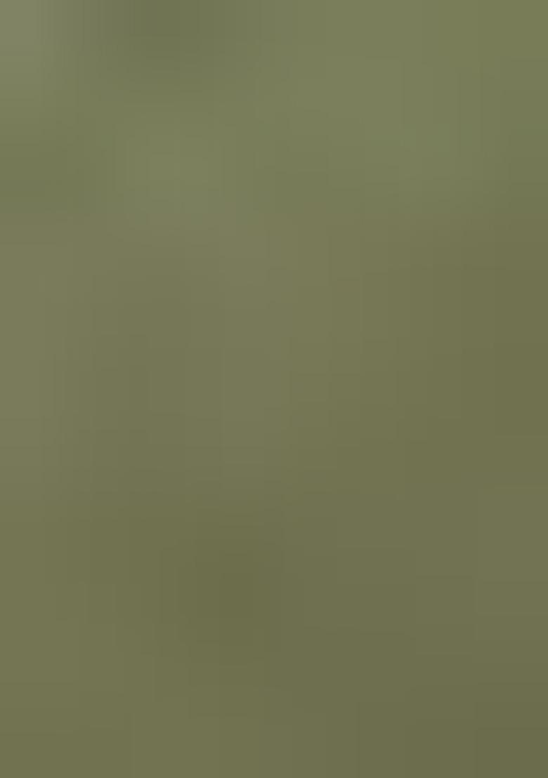 Green Woven Silk Saree Set