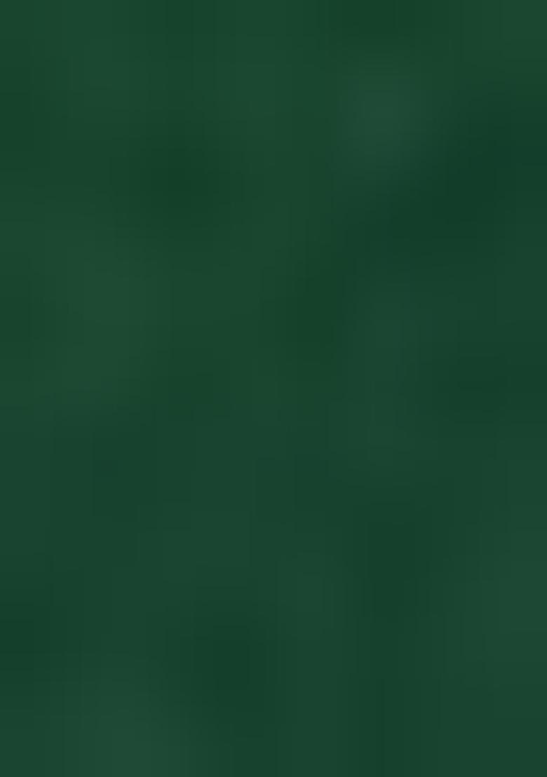 Green Woven Silk Saree Set